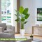 Lifelike Bird of Paradise Silk Artificial Plant Faux Banana Leaf Tree for Home Decor - Perfect Indoor Floor Plant with 9 Trunks (1, White Tall Planter, 5 FT)